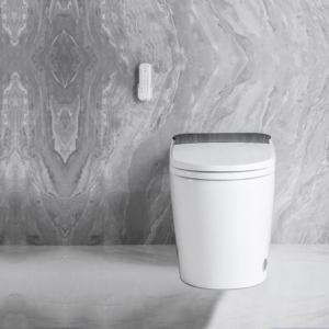 Rakea- Smart toilet